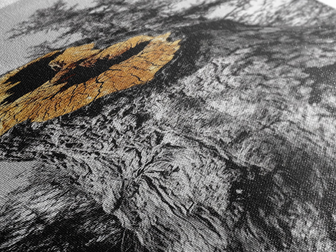 Tree Hollow, Forest Texture, Nature Decay, Golden Bark, Framed Canvas Print, Rustic Wall Art, Cabin Living Room Art, Woodland Decor