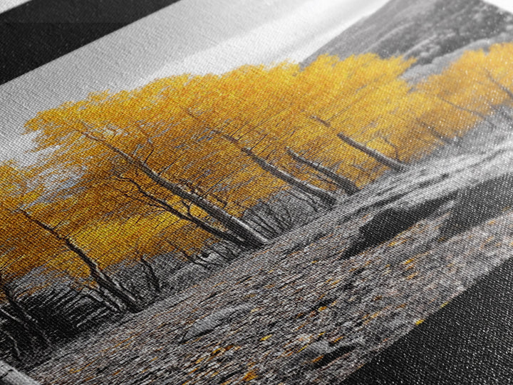 Golden Aspens, Fall Forest, Mountain Trees, Framed Canvas Print, Autumn Wall Art, Nature Cabin Decor, Fall Foliage, Rustic Living Room