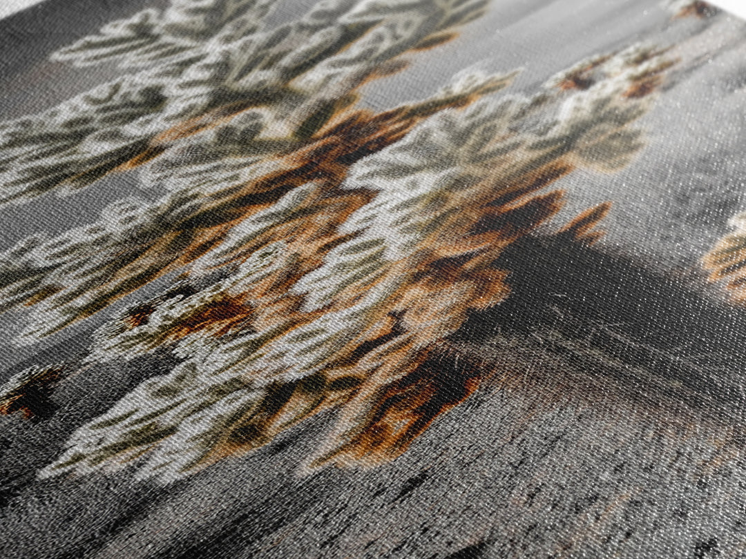 Cholla Cactus Desert, Southwestern Nature Scene, Spiky Plant Decor, Framed Canvas Print, Minimalist Boho Art, Sunroom or Entryway Style