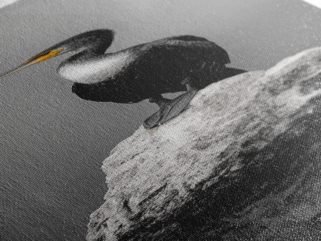 Cormorant Bird, Coastal Bird Art, Water Bird, Minimal Nature Art, Black and White Wildlife, Framed Canvas Print, Modern Entryway Wall Art