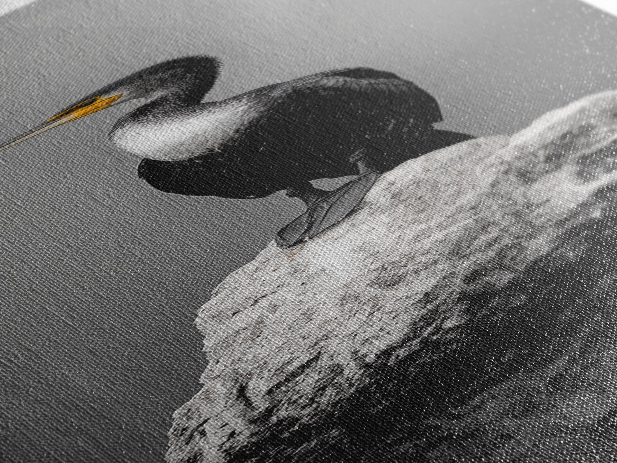 Cormorant Bird, Coastal Bird Art, Water Bird, Minimal Nature Art, Black and White Wildlife, Framed Canvas Print, Modern Entryway Wall Art