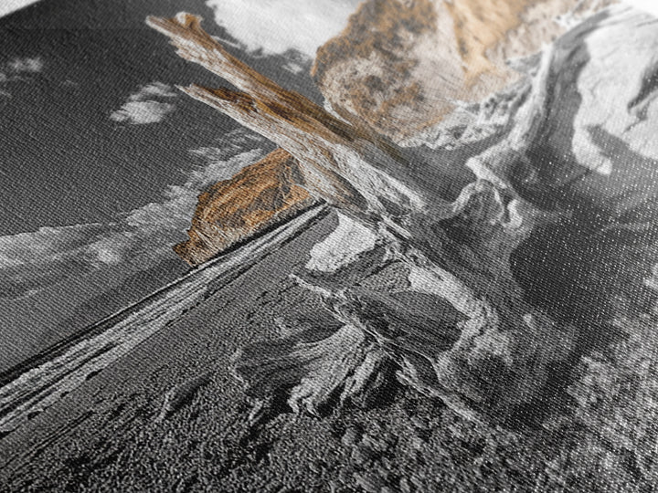 Coastal Driftwood, Beach Scene, Natural Texture, Modern Rustic, Framed Canvas Print, Neutral Tones, Office Wall Art, Coastal Vibe Decor