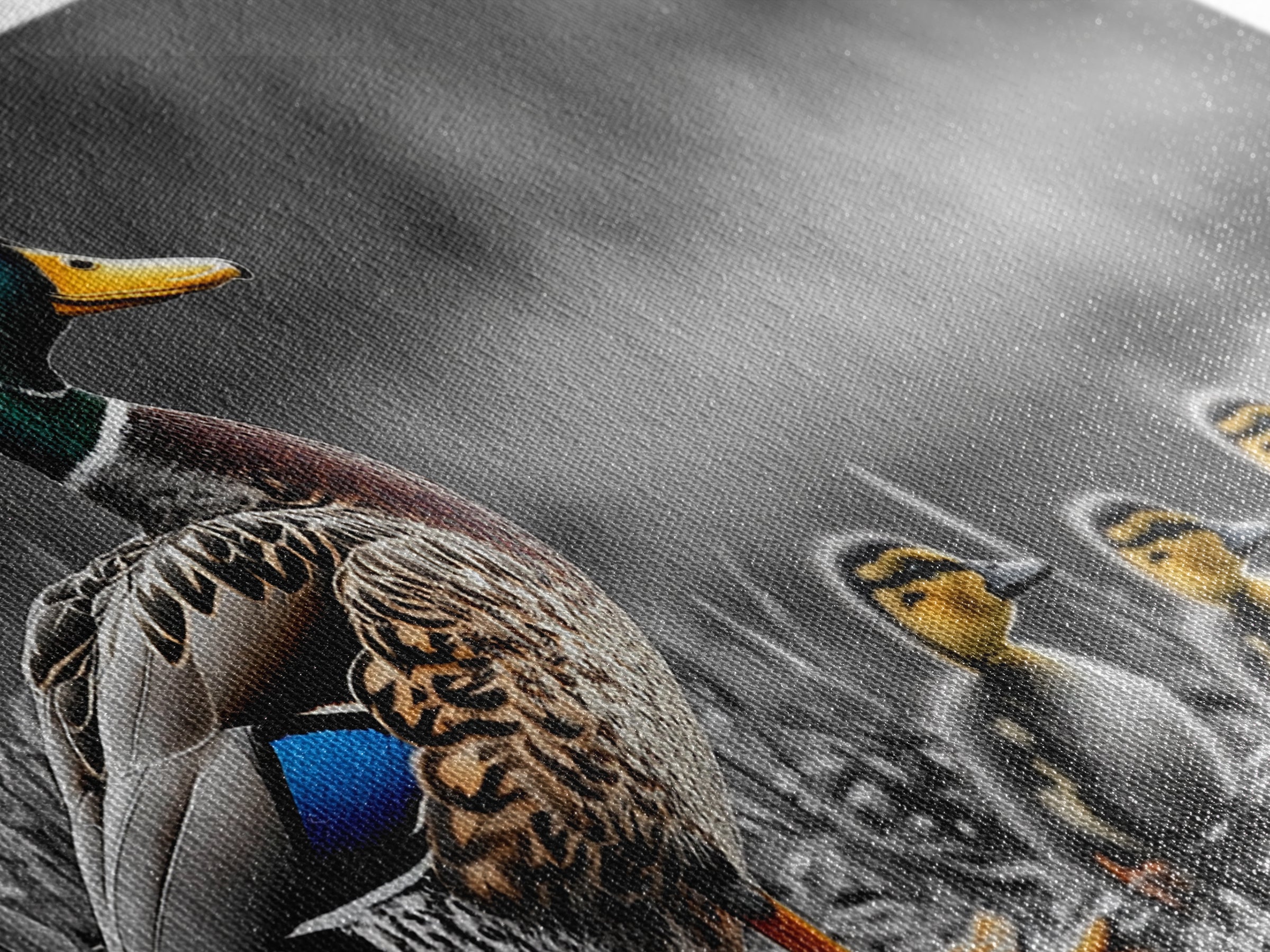 Duck Family, Pond Life, Nature Scene, Wildlife Photography, Canvas Print, Nursery Wall Art, Cute Animal Print, Nature Lover Gift Idea