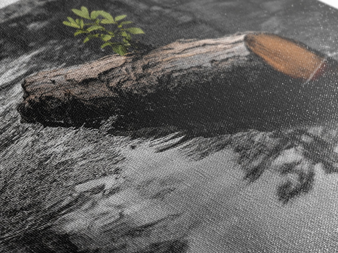 Nature Log, Life Grows, Floating Tree, Framed Canvas Print, Minimalist Growth Art, Nature Symbolism, Office Inspiration, Calm Wall Art