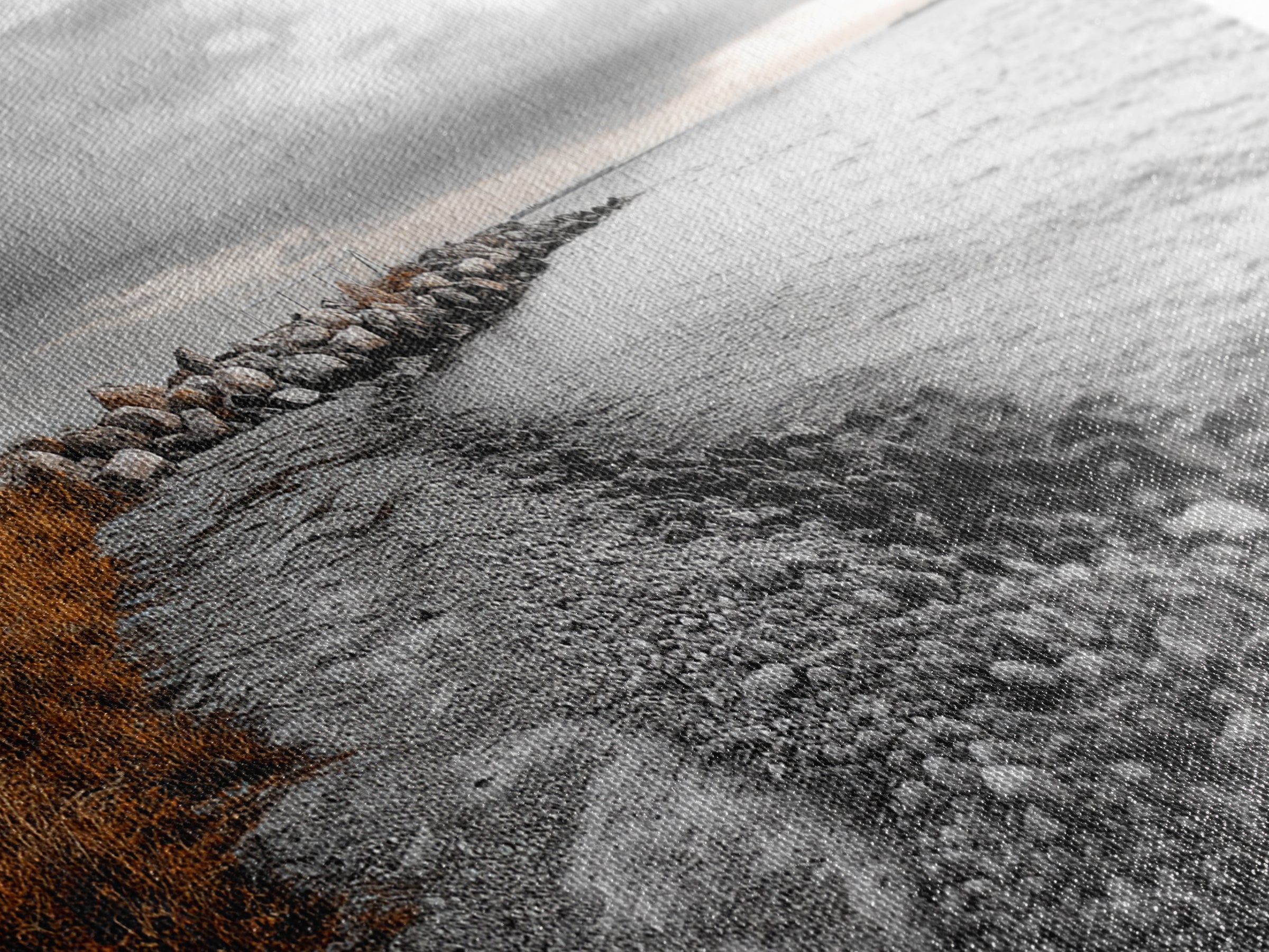 Coastal Path, Stormy Shore, Serene View, Monochrome Mood, Framed Canvas Print, Beach Wall Art, Peaceful Nature, Seaside Photography Decor