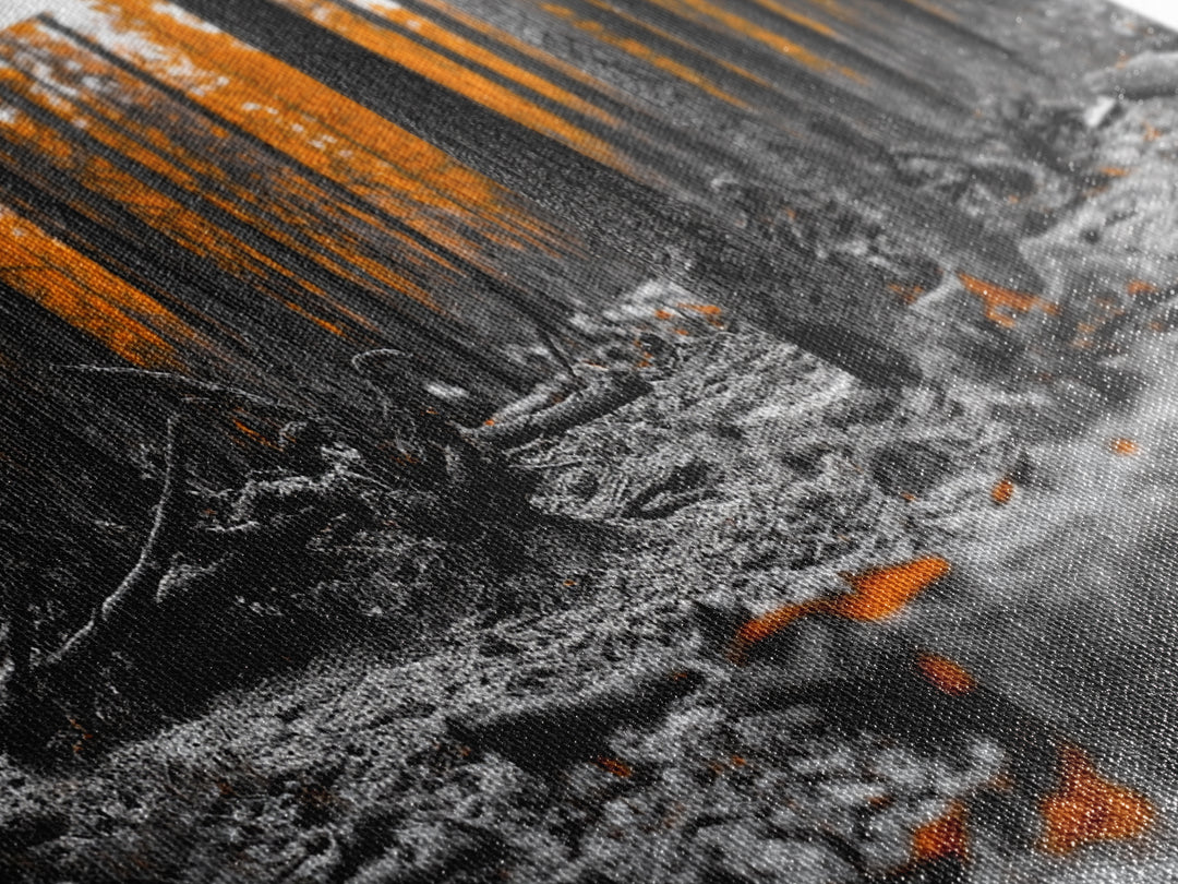 Autumn Forest Floor, Orange Leaves, Fall Nature Scene, Canvas Print, Rustic Wall Art, Cabin Decor, Moody Landscape Framed Canvas Print