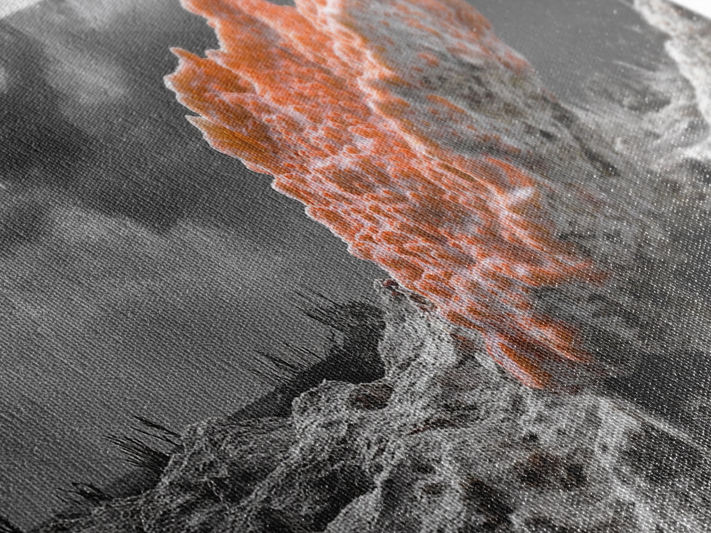 Coral Texture Art, Desert Coral Print, Earthy Organic Decor, Vibrant Nature Scene, Framed Canvas Print, Living Room Wall Art, Natural Art