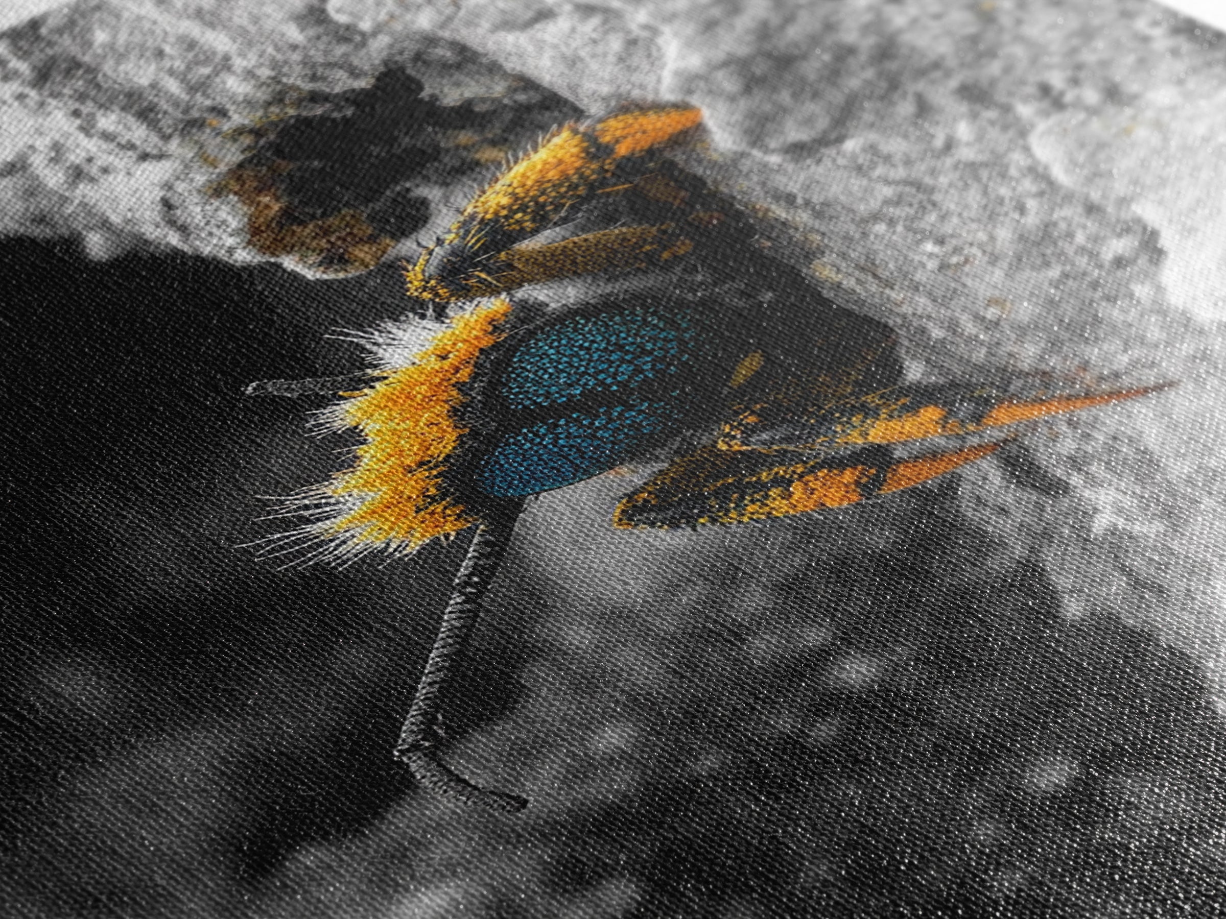 Fuzzy Bee Closeup, Insect Macro, Nature Texture, Framed Canvas Print, Wildlife Wall Art, Entomology Decor, Nature Photography