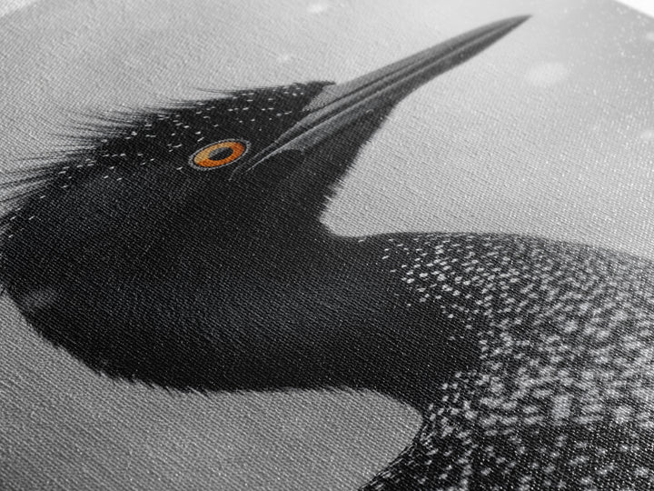 Black Loon, Bird Closeup, Snowy Glow, Winter Nature Canvas Print, Wildlife Wall Art, Modern Bedroom Decor, Birdwatcher Gift Print