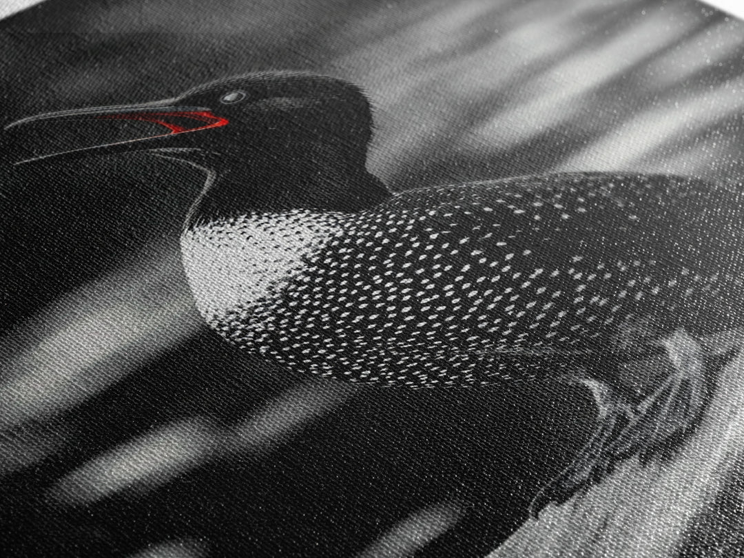 Loon Call, Singing Bird, Red Beak, Monochrome Framed Canvas Print, Wildlife Wall Decor, Bird Lover Wall Art, Rustic Cabin Accent