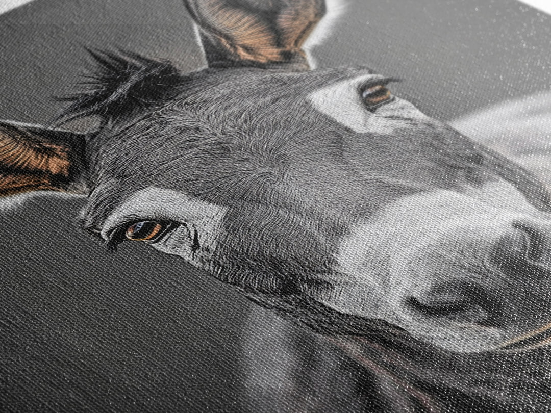 Donkey Close-Up, Rustic Farm Animal, Black and White Portrait, Canvas Print, Farmhouse Kitchen Art, Country Animal Wall Decor