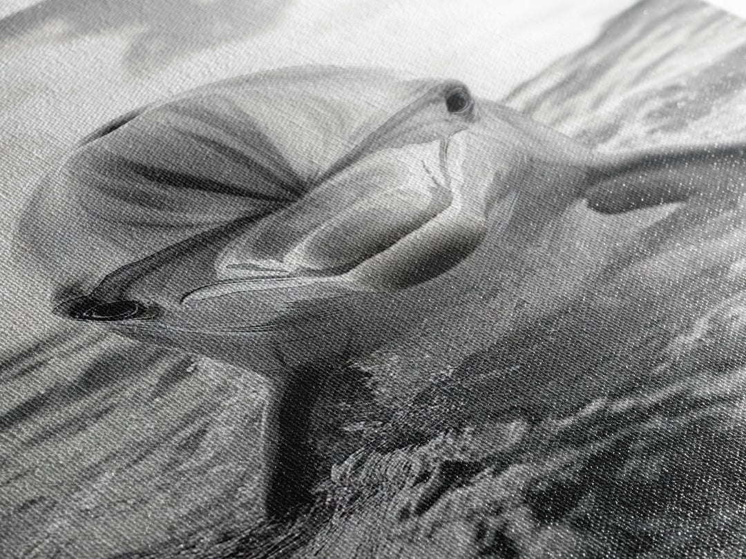 Dolphin Splash, Ocean Encounter, Monochrome Wildlife, Canvas Print, Coastal Wall Art, Bathroom Decor, Marine Animal Photography