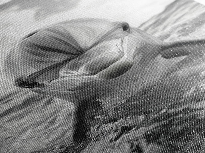 Dolphin Splash, Ocean Encounter, Monochrome Wildlife, Canvas Print, Coastal Wall Art, Bathroom Decor, Marine Animal Photography