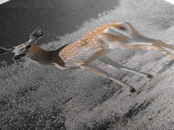 Baby Deer, Spotted Fawn, Desert Wildlife, Framed Canvas Print, Nursery Wall Art, Wildlife Nature Decor, Gentle Forest Animal Art