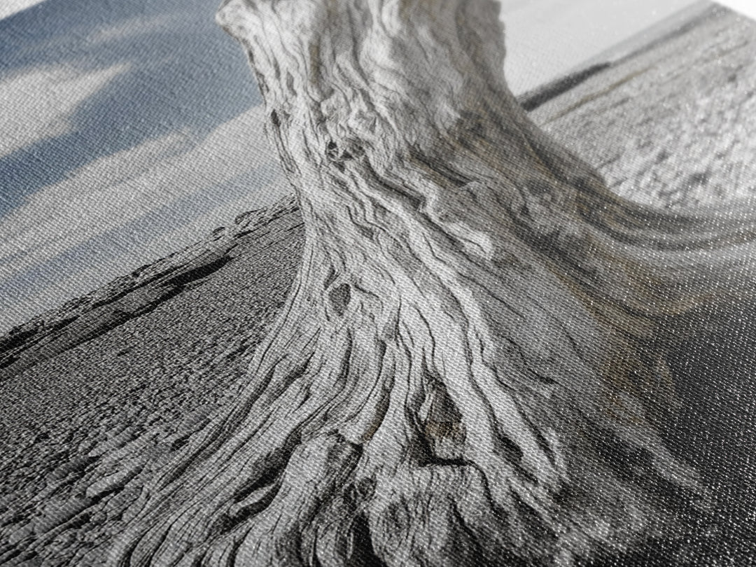 Coastal Driftwood, Beach Stump, Pebble Shore, Framed Canvas Print, Rustic Wall Art, Bathroom Decor, Earthy Beach House Accent