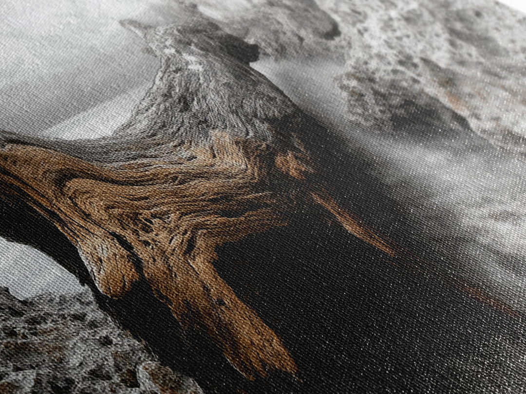 Driftwood Coast, Ocean Roots, Washed Ashore, Beach Texture — Canvas Print, Coastal Decor, Bathroom Wall Art, Monochrome Nature Photography