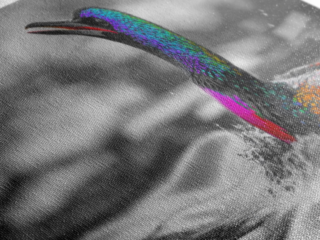 Colorful Loon, Rainbow Feathers, Water Splash, Unique Wildlife, Framed Canvas Print, Bathroom Wall Art, Eclectic Style, Birdwatcher Gift