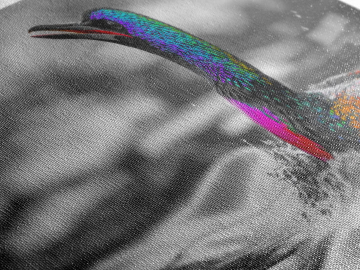 Colorful Loon, Rainbow Feathers, Water Splash, Unique Wildlife, Framed Canvas Print, Bathroom Wall Art, Eclectic Style, Birdwatcher Gift