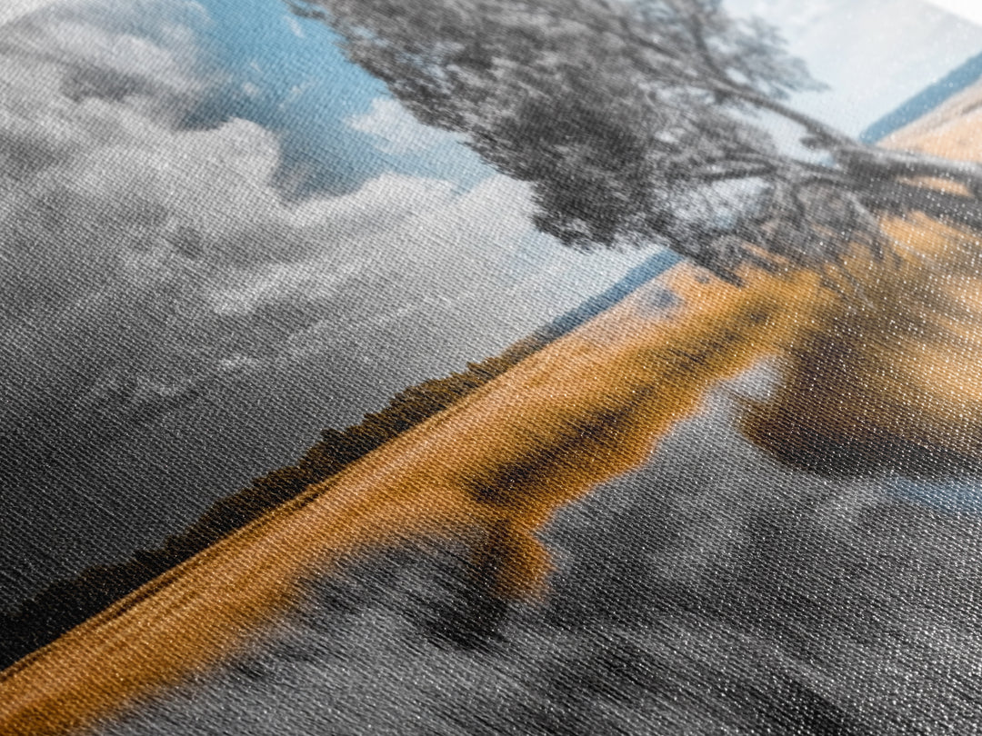 Autumn Marsh, Windswept Tree, Golden Grass, Storm Sky, Framed Canvas Print, Fall Wall Art, Living Room Decor, Rustic Landscape