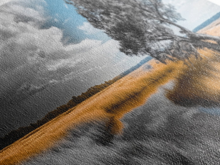 Autumn Marsh, Windswept Tree, Golden Grass, Storm Sky, Framed Canvas Print, Fall Wall Art, Living Room Decor, Rustic Landscape