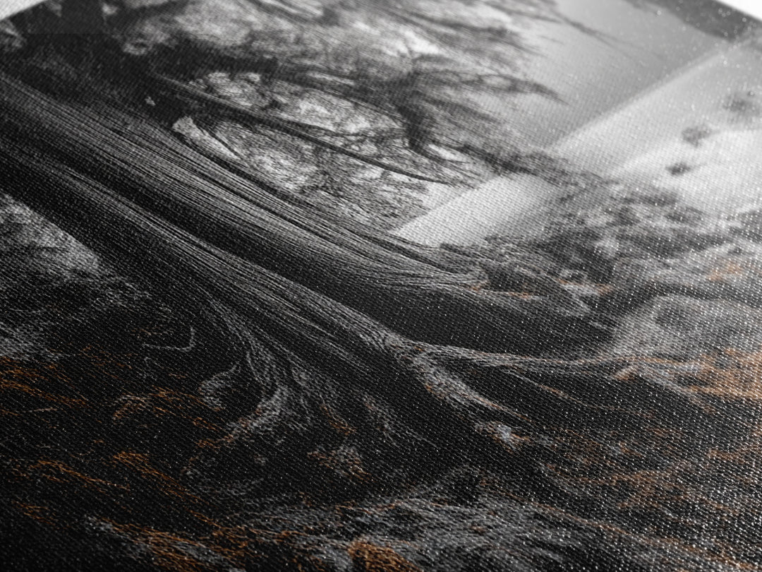 Ancient Tree, Forest Roots, Coastal Woods, Mystical Scene, Framed Canvas Print, Nature Wall Art, Woodland Decor, Moody Living Room Art