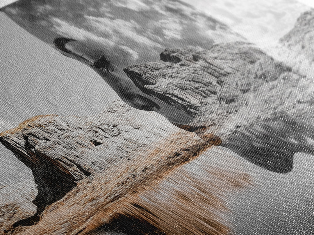 Desert Mirage, Double Exposure, Nature Portrait, Moody Art, Framed Canvas Print, Surreal Landscape, Boho Wall Art, Bedroom Decor