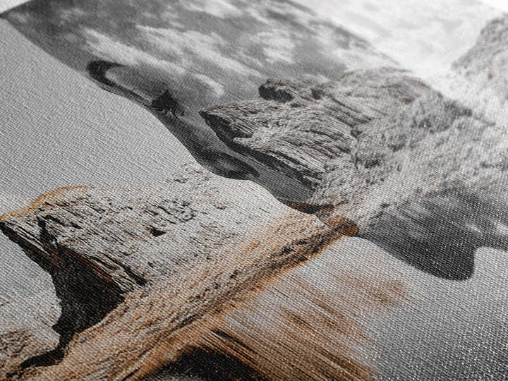 Desert Mirage, Double Exposure, Nature Portrait, Moody Art, Framed Canvas Print, Surreal Landscape, Boho Wall Art, Bedroom Decor