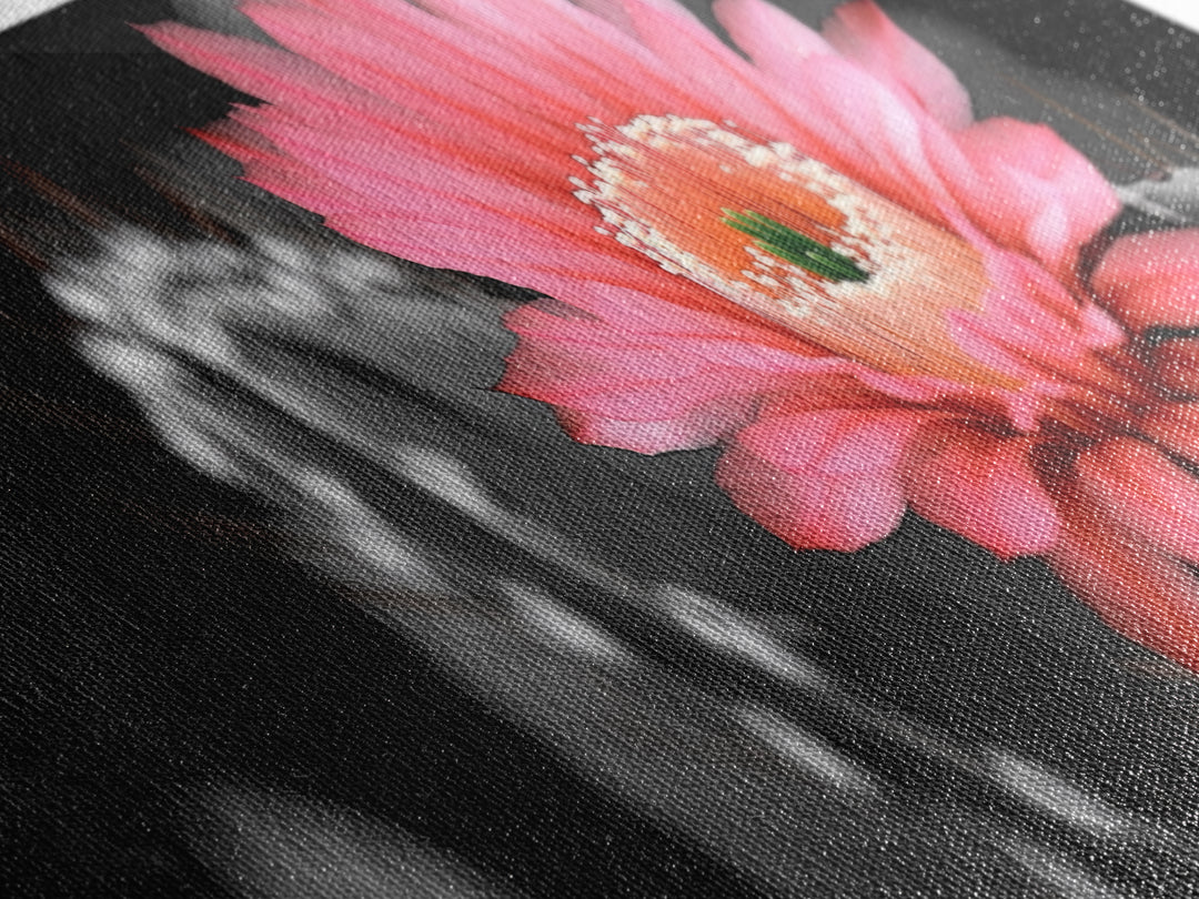 Desert Bloom, Cactus Flower, Vibrant Petals, Nature Beauty, Framed Canvas Print, Boho Wall Art, Living Room Decor, Pink Flower Photography