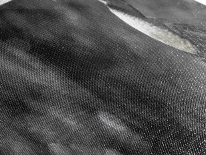 Black White Bird, Orange Beak Detail, Minimal Nature Portrait, Framed Canvas Print, Rustic Wall Art, Study or Cabin Decor