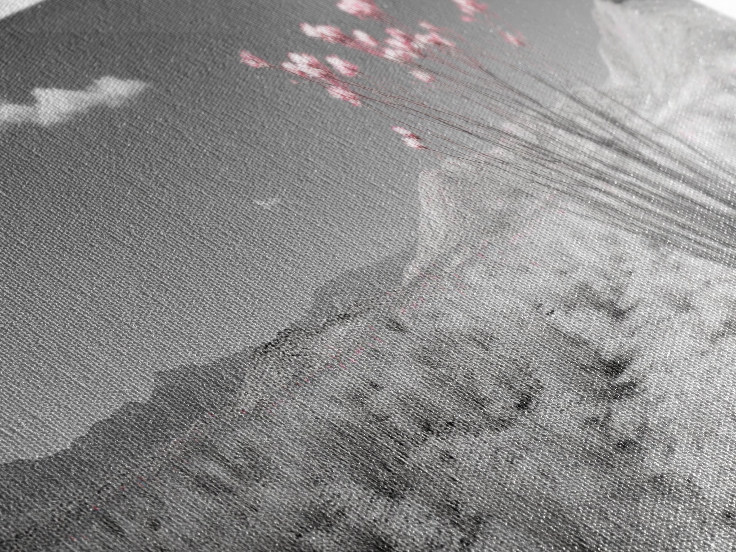 Desert Bloom Flowers, Pink Wildflower Landscape, Nature Wall Art, Framed Canvas Print, Boho Decor, Feminine Desert Bedroom Aesthetic