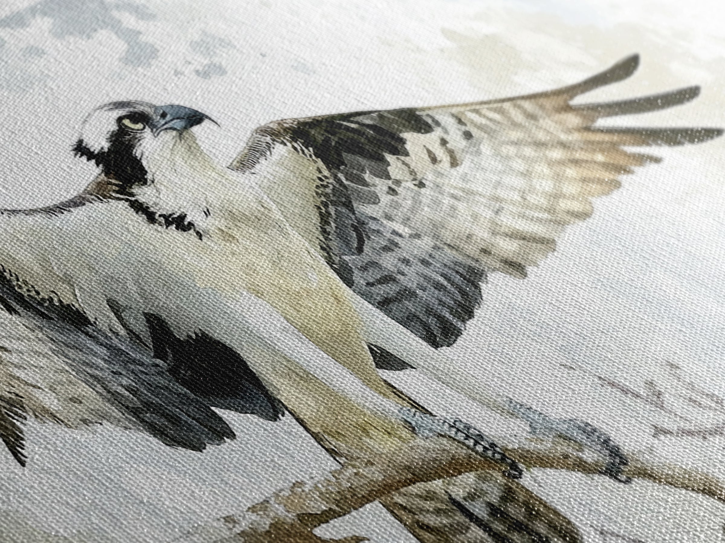 Landing Osprey On Winter Branch Canvas Print, Watercolor Hawk Wall Art, Rustic Nature Decor, Bird Lover Housewarming Gift