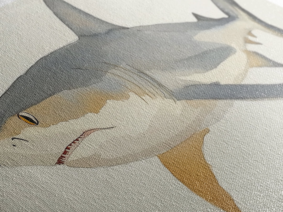 Watercolor Shark Illustration Canvas Print, Coastal Ocean Wall Art, Marine Life Decor, Beach House Gift, Nautical Animal Art