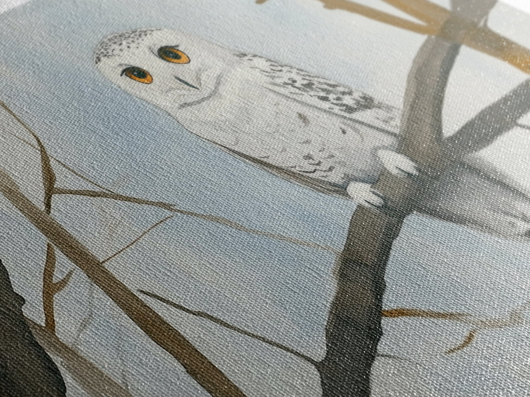 Snowy Owl On Winter Branch Canvas Print, Woodland Wildlife Wall Art, Neutral Nursery Animal Art, Scandinavian Office Decor