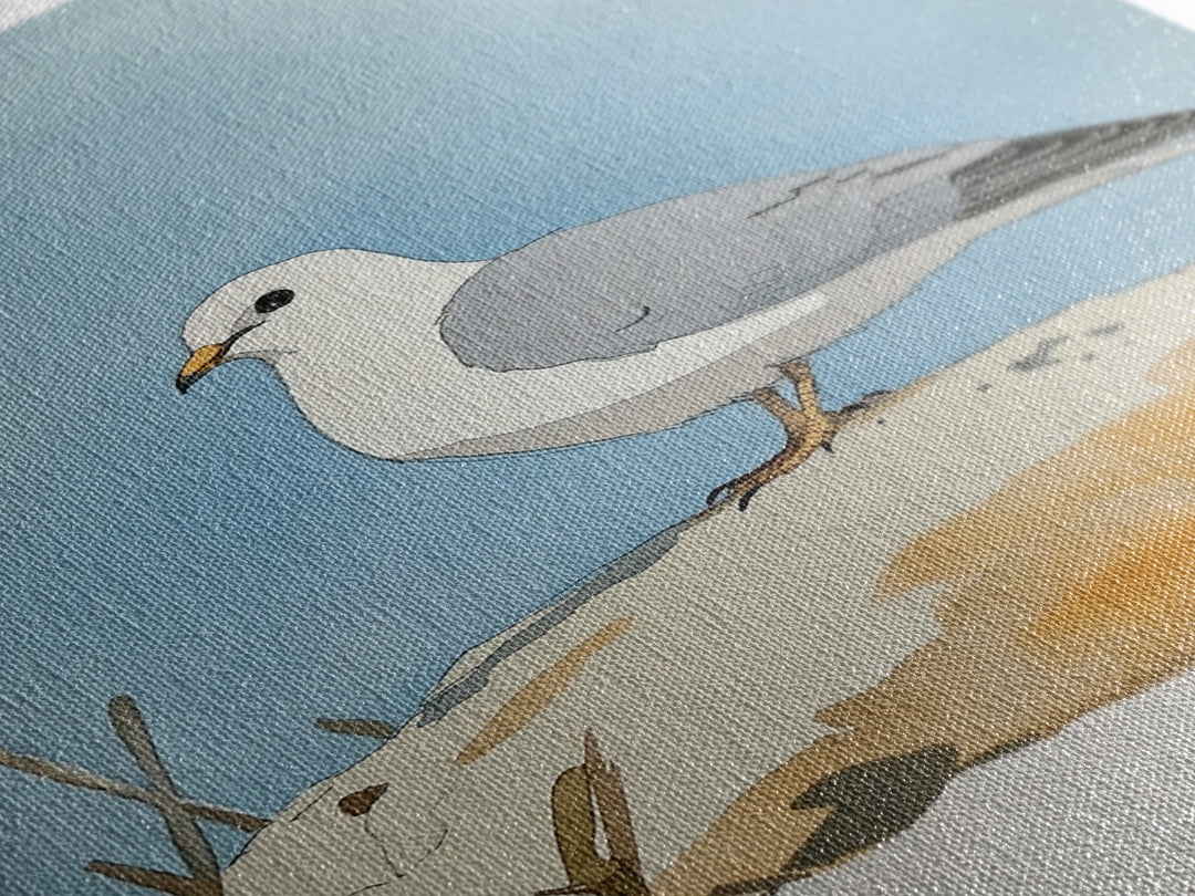 Coastal Seagull On Sunlit Rock Wall Art, Beach House Decor, Living Room Decor, Ocean Bird Art Print, Nautical Framed Canvas Print