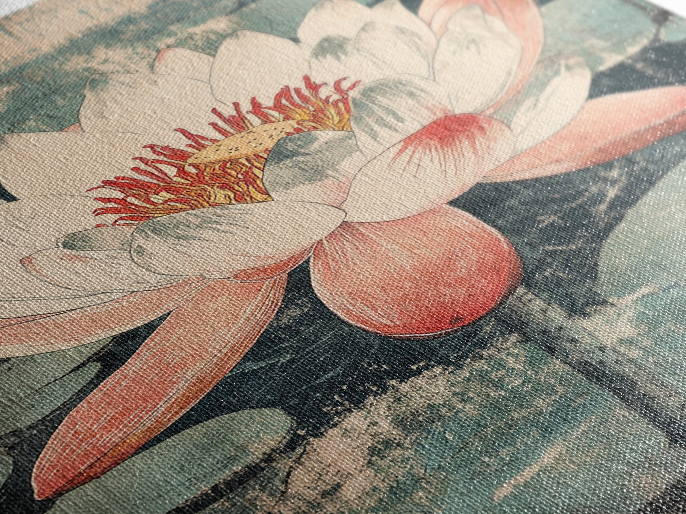 Pink Lotus Flower Botanical Wall Art, Japanese Canvas Print, Water Lily Pond Decor, Japandi Nature Art For Bedroom Decor
