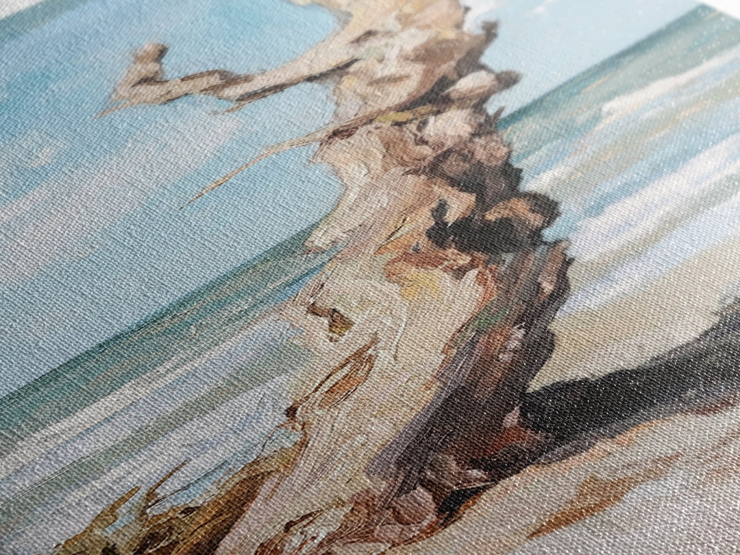 Sun Bleached Driftwood On Beach Canvas Print, Coastal Wall Art, Ocean Landscape Decor, Nautical Home Decor, Beach House Gift