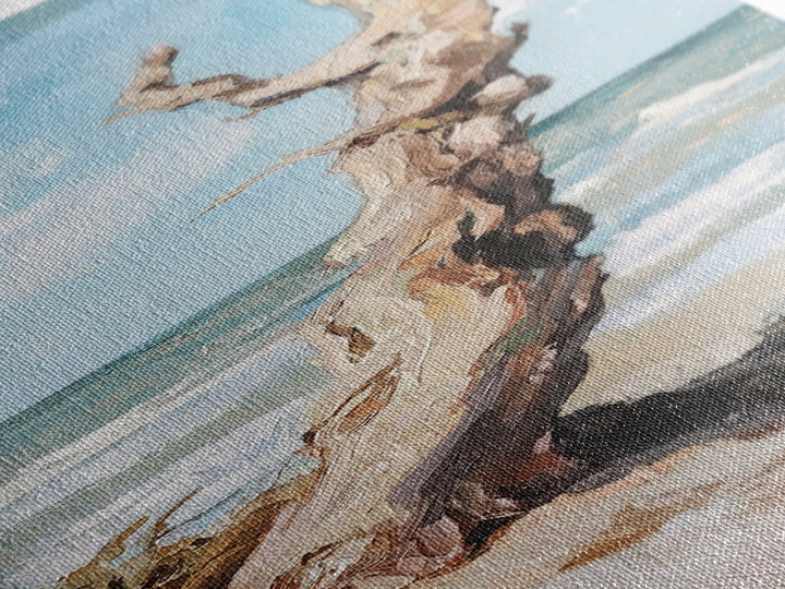 Sun Bleached Driftwood On Beach Canvas Print, Coastal Wall Art, Ocean Landscape Decor, Nautical Home Decor, Beach House Gift