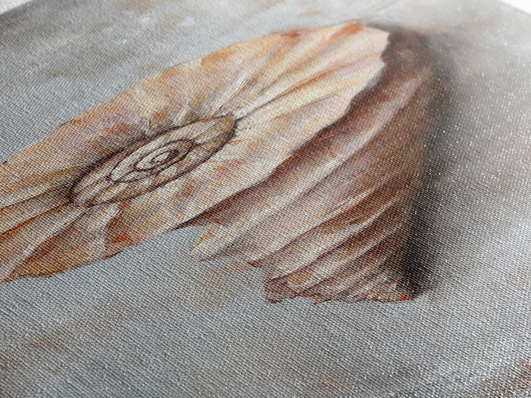 Textured Spiral Seashell Framed Canvas Print, Coastal Wall Art, Beach House Decor, Nautical Bathroom Art, Ocean Gift For Her