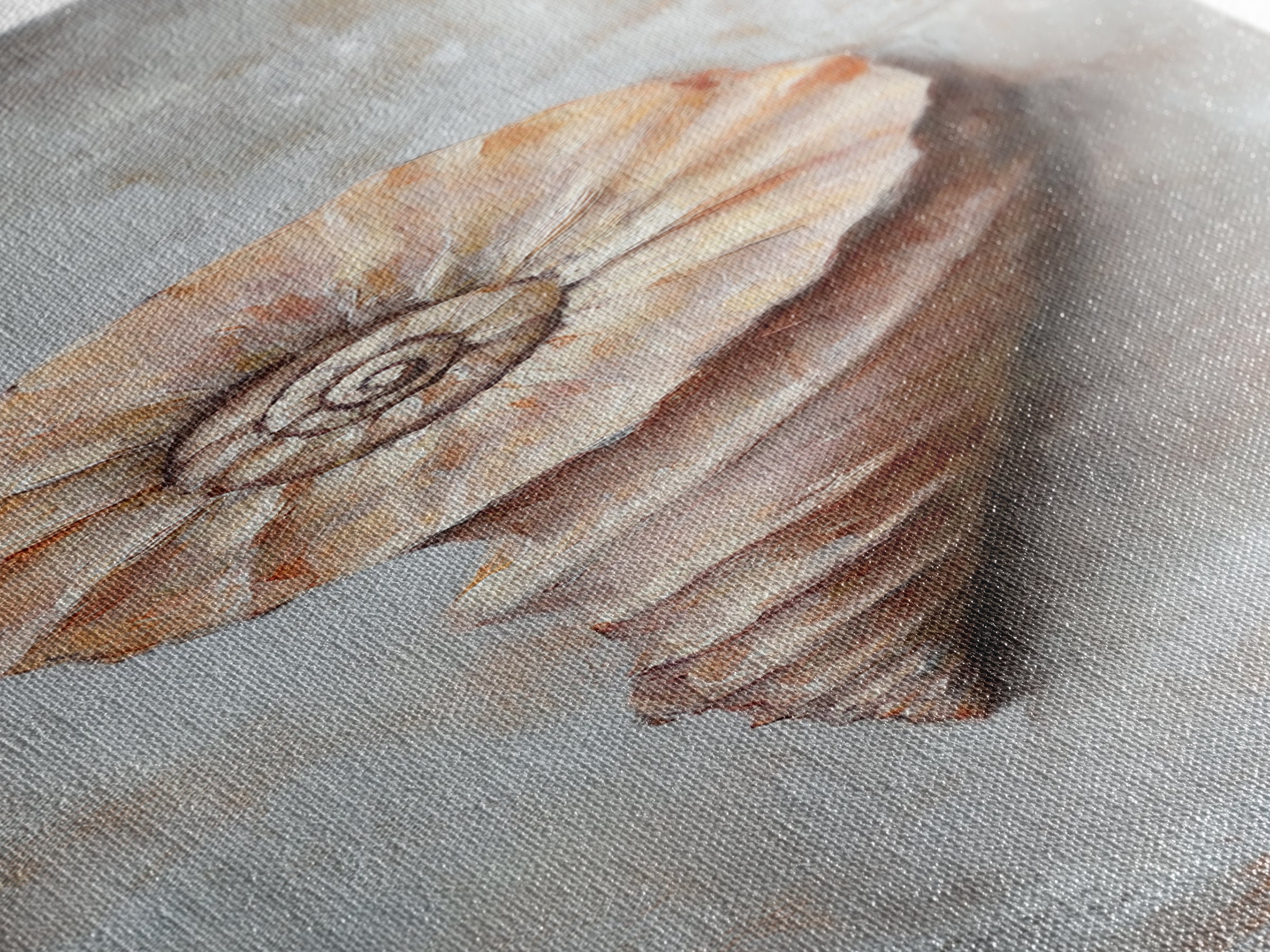 Textured Spiral Seashell Framed Canvas Print, Coastal Wall Art, Beach House Decor, Nautical Bathroom Art, Ocean Gift For Her