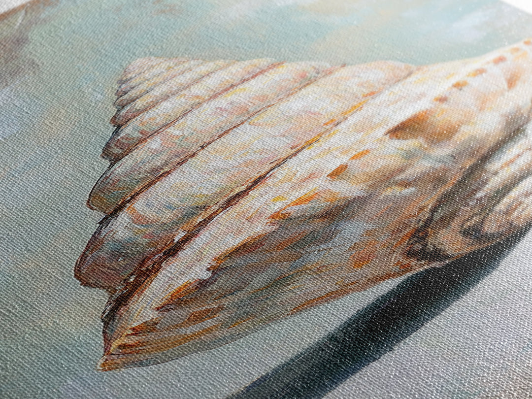 Large Spiral Seashell Canvas Print, Coastal Wall Decor, Beach House Decor, Nautical Ocean Art, Neutral Bathroom Decor, Seaside Art