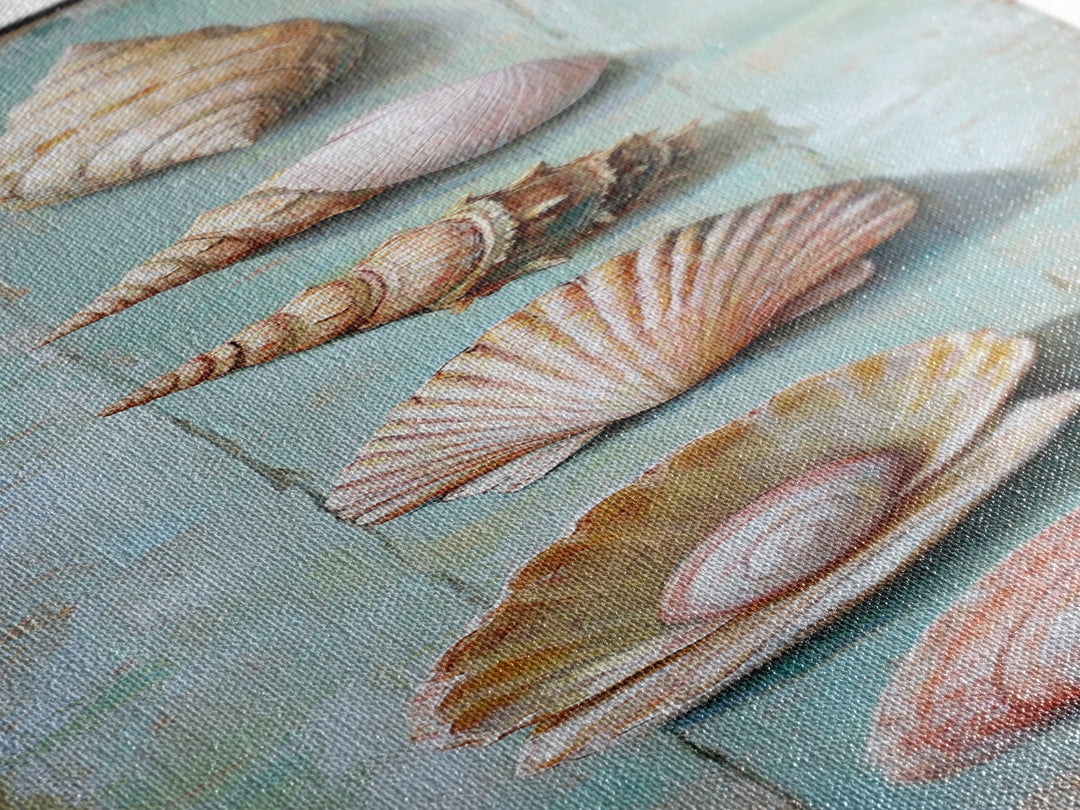 Six Seashells On Turquoise Wood Framed Canvas Print, Coastal Wall Art, Beach House Decor, Nautical Bathroom Wall Decor, Ocean Print