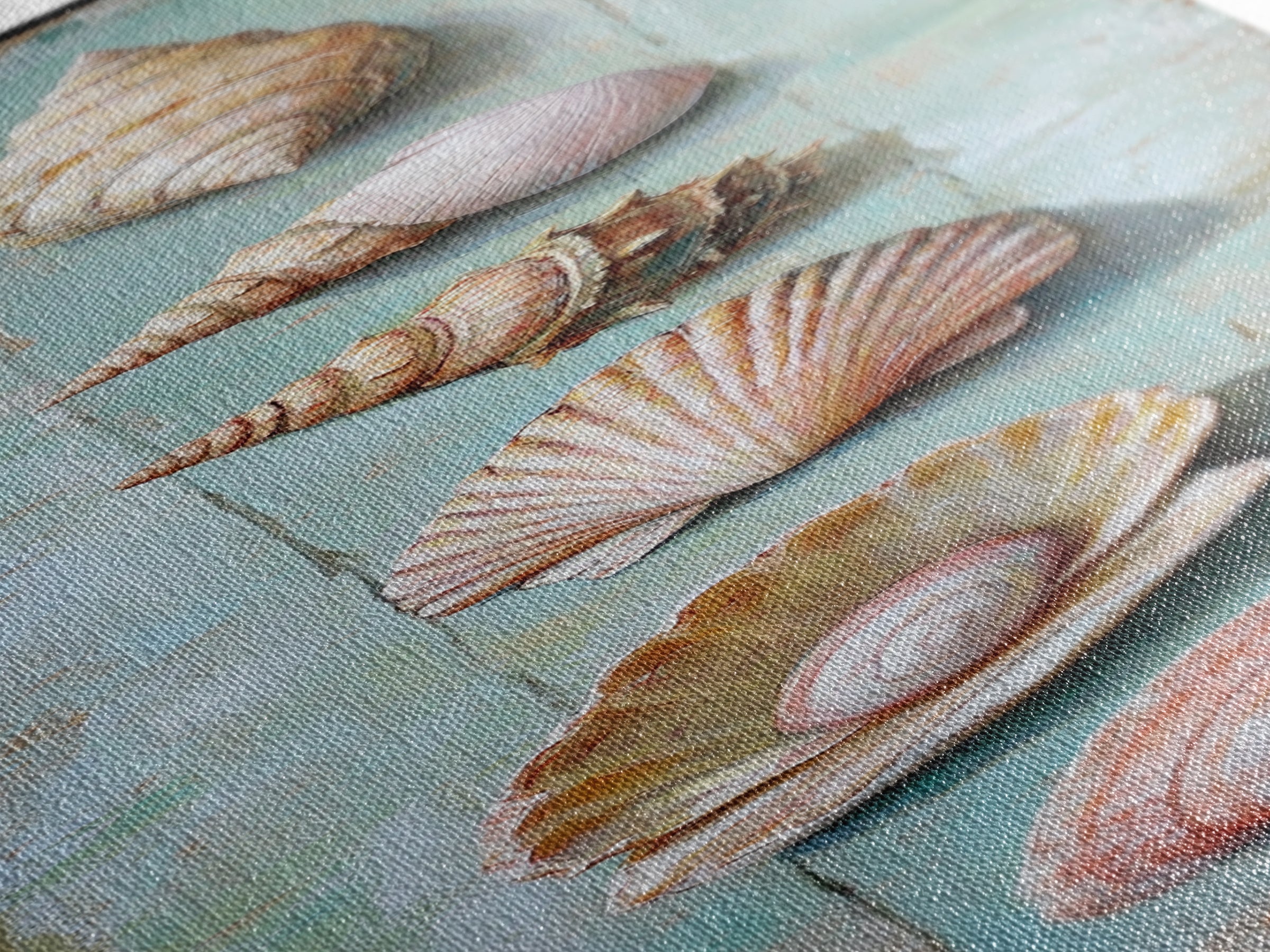 Six Seashells On Turquoise Wood Framed Canvas Print, Coastal Wall Art, Beach House Decor, Nautical Bathroom Wall Decor, Ocean Print