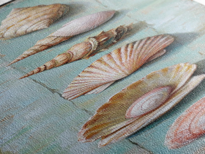 Six Seashells On Turquoise Wood Framed Canvas Print, Coastal Wall Art, Beach House Decor, Nautical Bathroom Wall Decor, Ocean Print