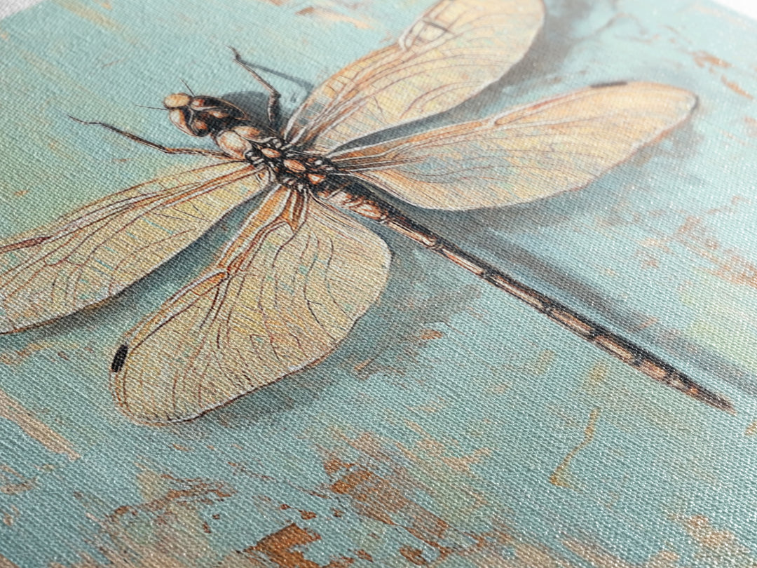 Detailed Dragonfly Insect Wall Art, Nature Canvas Print, Entomology Decor, Botanical Wall Decor, Rustic Wildlife Art, Home Decor