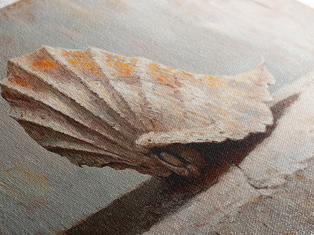 Textured Seashell Still Life In Neutral Tones, Framed Canvas Print, Coastal Wall Art, Beach House Decor, Nautical Wall Art