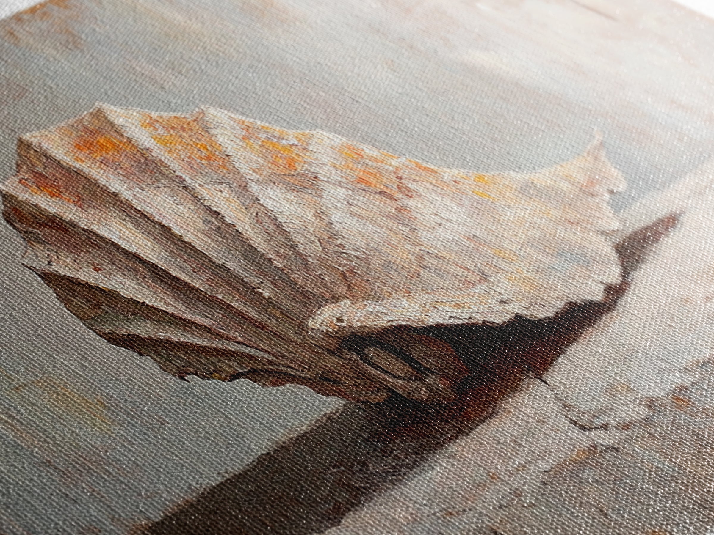 Textured Seashell Still Life In Neutral Tones, Framed Canvas Print, Coastal Wall Art, Beach House Decor, Nautical Wall Art