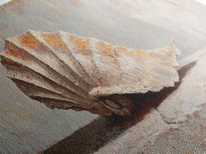 Textured Seashell Still Life In Neutral Tones, Framed Canvas Print, Coastal Wall Art, Beach House Decor, Nautical Wall Art
