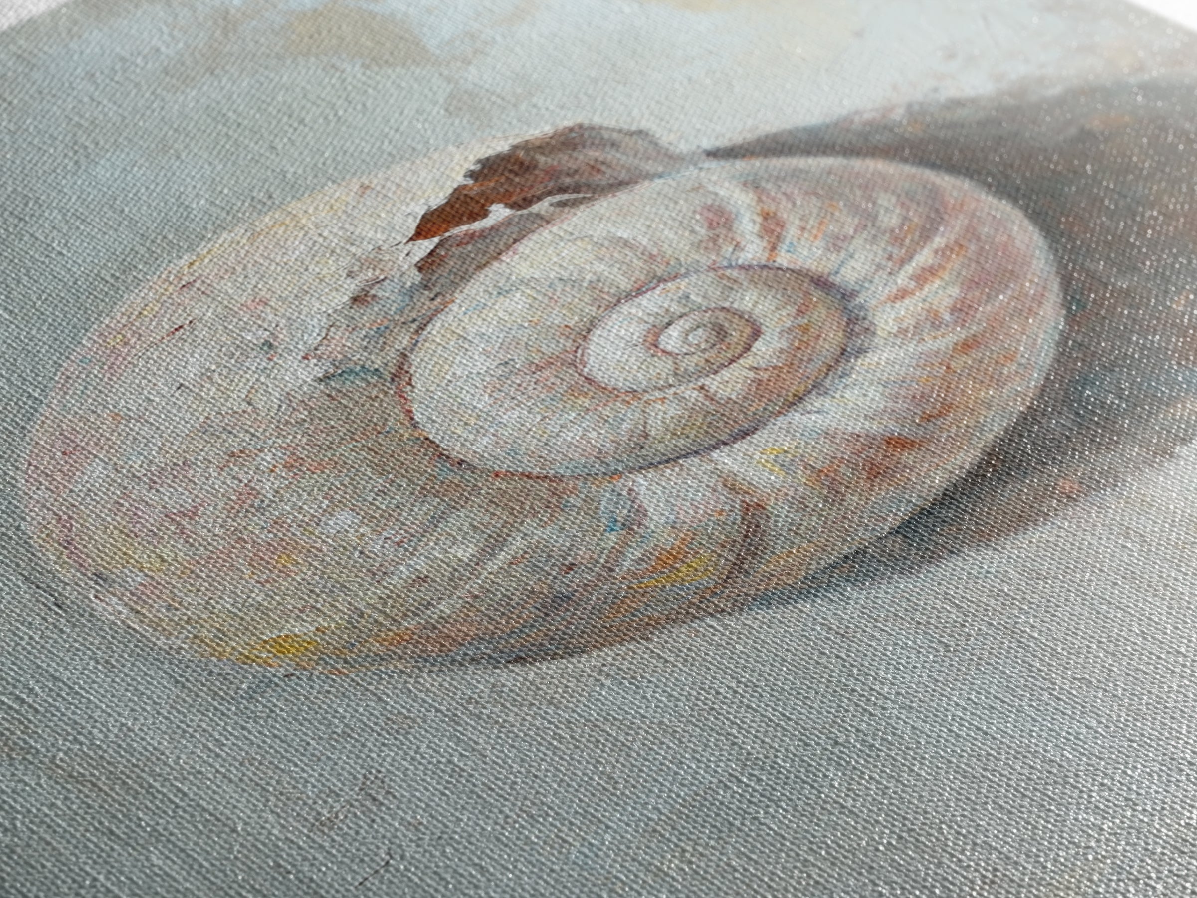 Textured Seashell Still Life Framed Canvas Print, Coastal Wall Art, Beach House Decor, Nautical Bathroom Wall Decor, Ocean Art