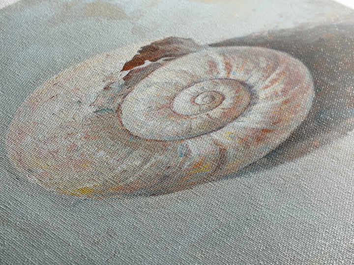 Textured Seashell Still Life Framed Canvas Print, Coastal Wall Art, Beach House Decor, Nautical Bathroom Wall Decor, Ocean Art