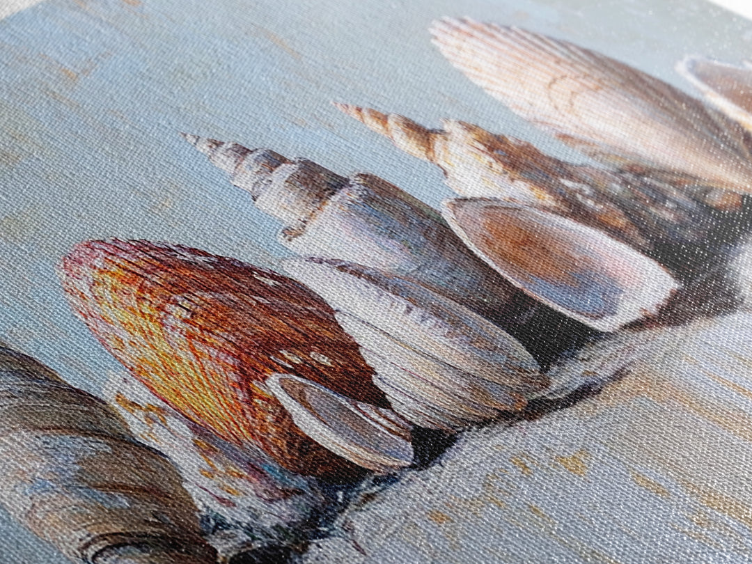 Coastal Seashell Collection Still Life Canvas Print, Beach Wall Art, Ocean Decor, Nautical Wall Decor, Beach House Gift Idea